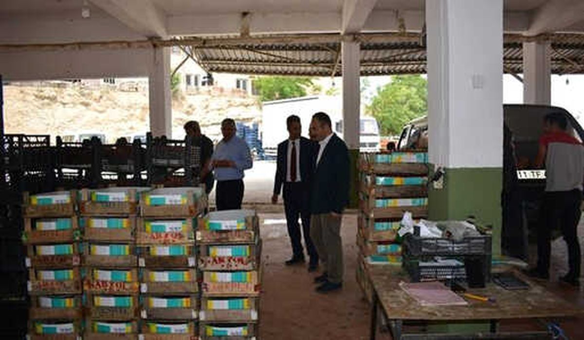 İl Müdürü Yoldaş, Köylülerden Ürünler Hakkında Bilgi Aldı
