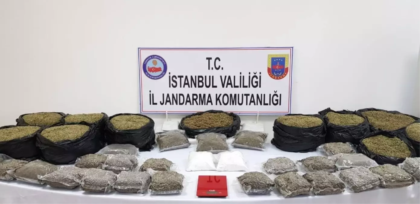 Jandarmadan Uyuşturucu Operasyonu: 40 Kilo Bonzai Ele Geçirildi