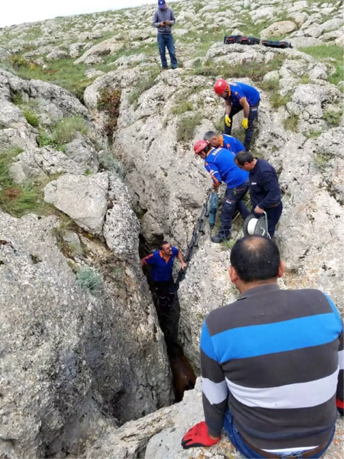 Kayalıkların Arasına Sıkışan Atı Afad Ekipleri Kurtardı