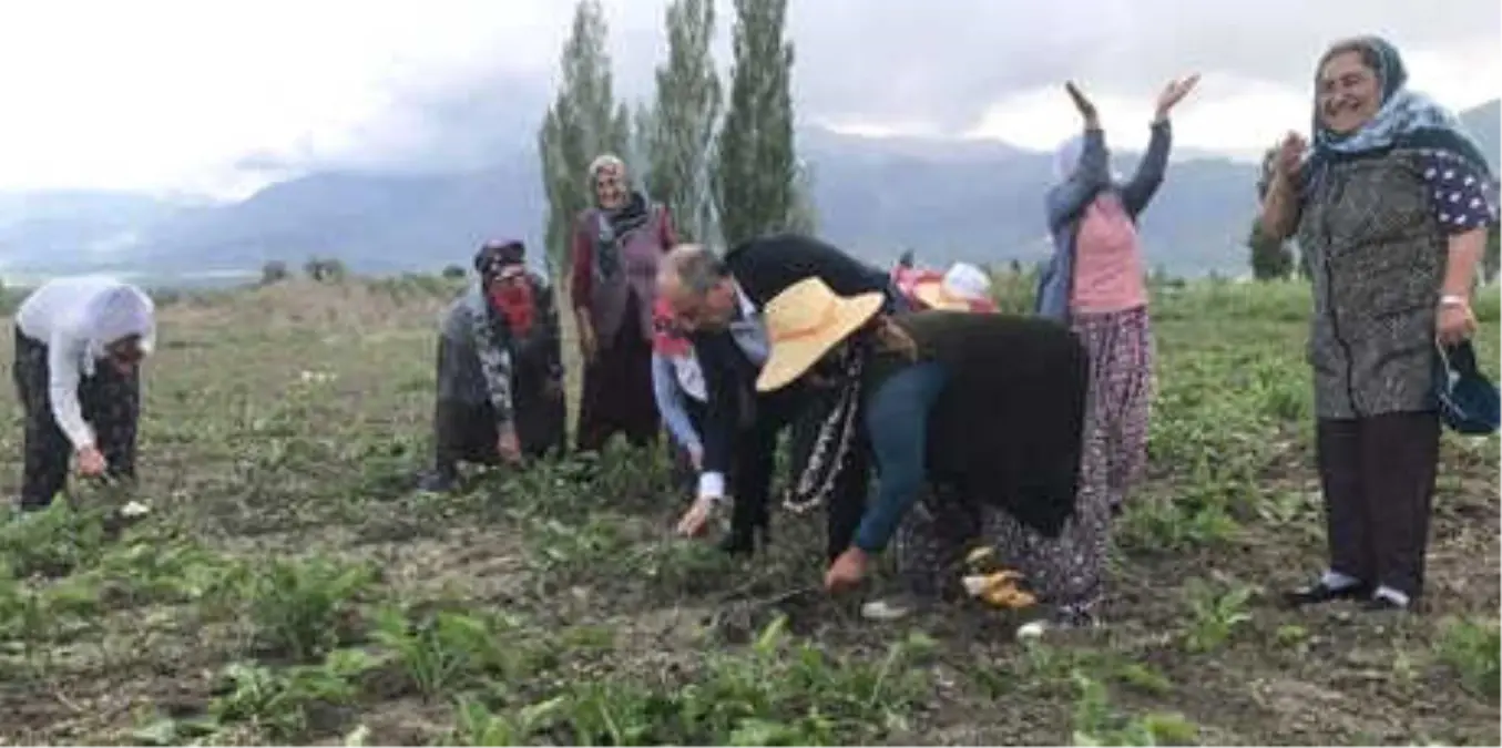 Muharrem İnce: 24 Haziran\'dan Sonra Bu Aksaklıklar Düzelecek