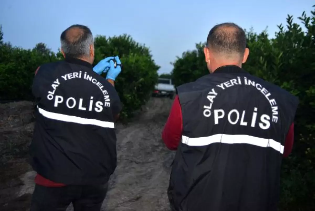 Takip Sırasında Polislerin Kaza Yaptığı Limon Hırsızlarından Biri Yakalandı