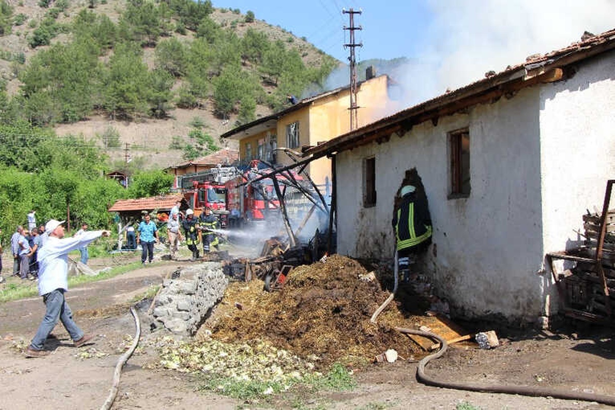 Ahırdaki Hayvanları Alevlerden Delik Açarak Kurtardılar