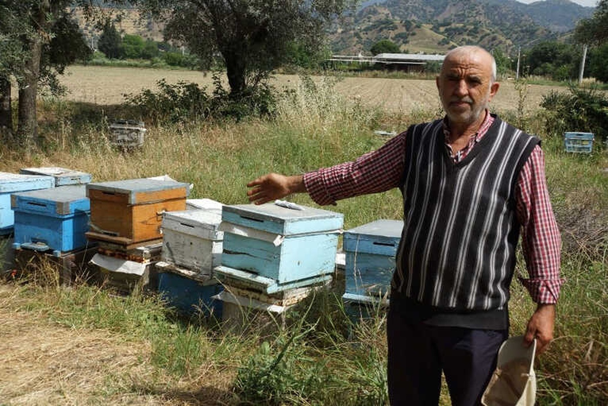 Arıları Ölen Vatandaşa Kovan Desteği