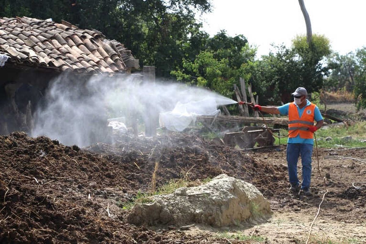 Germencik Belediyesi Haşerelerle Mücadelede Hız Kesmiyor