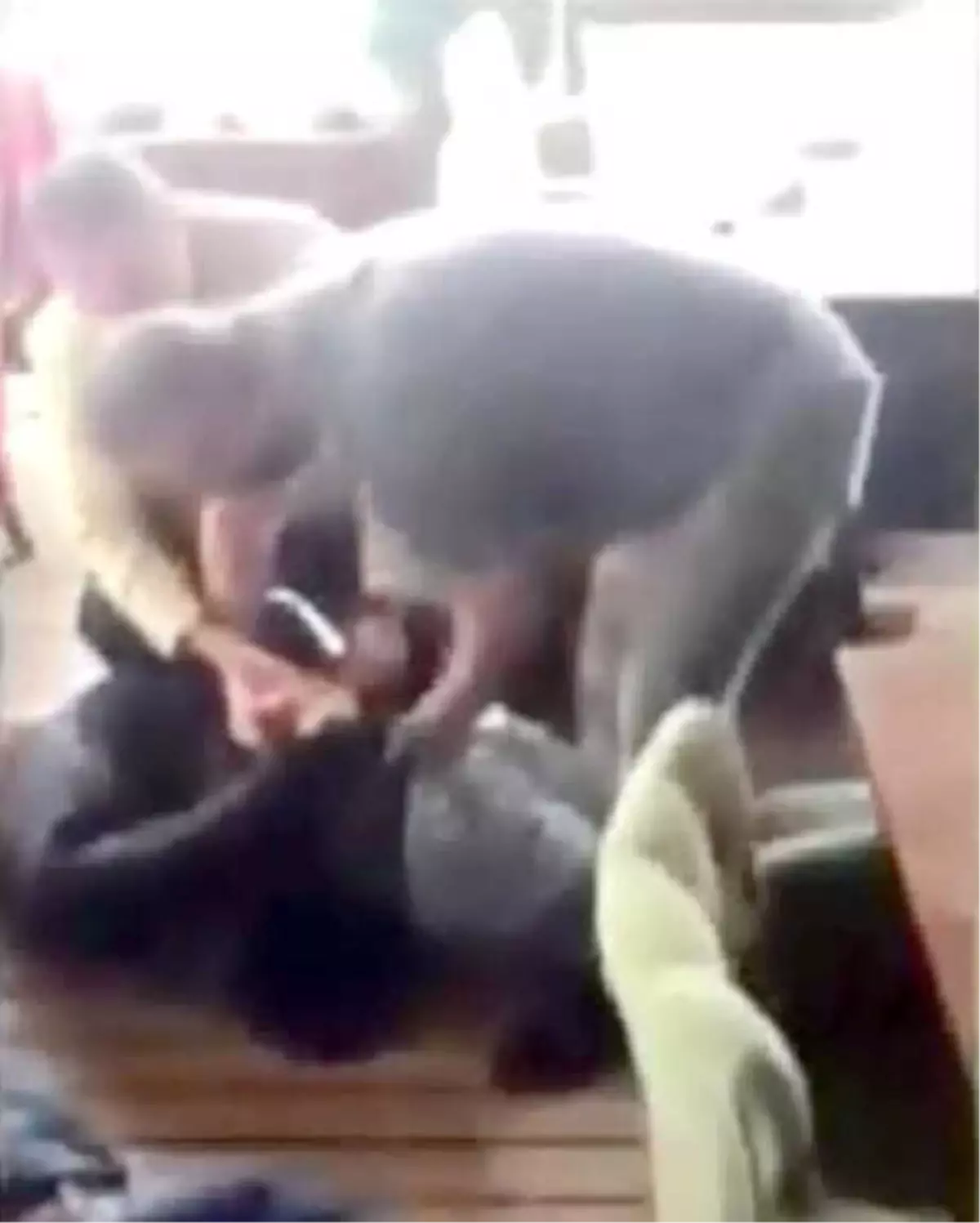 İçişleri Bakanlığı: Suç Örgütlerine Operasyonda 374 Kişi Tutuklandı