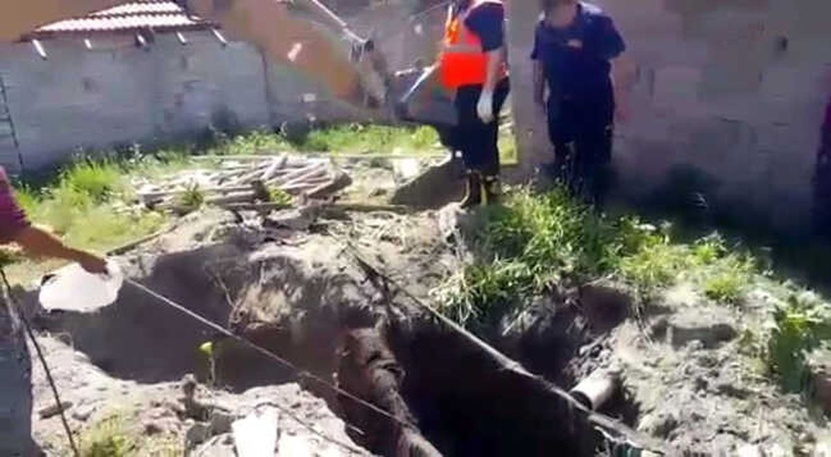 Isparta\'da Çukura Düşen At Kepçeyle Kurtarıldı