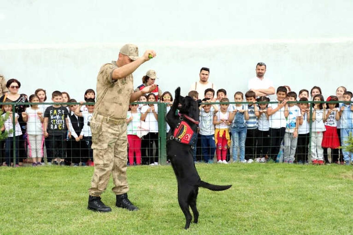 Jandarma Erzak Tespit Köpeği \'Bahis\' Öğrencilerin Gözdesi Oldu