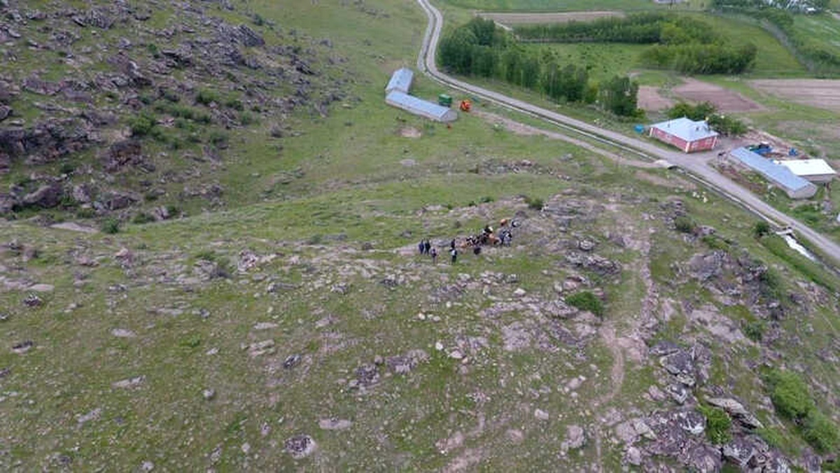 Köylünün Kaybolan Hayvanlarını Jandarma Buldu