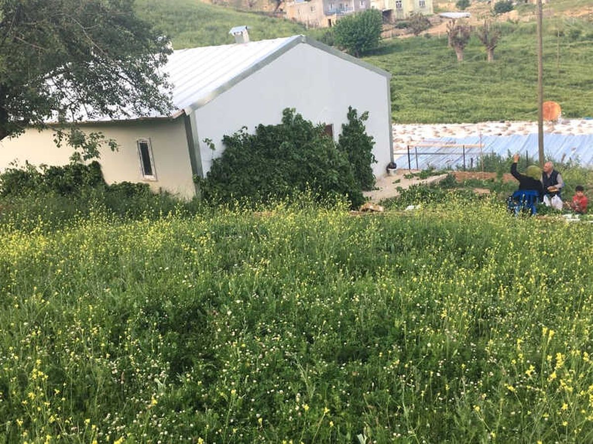Kulplu Genç Çiftçi İlk Hasadını Yaptı