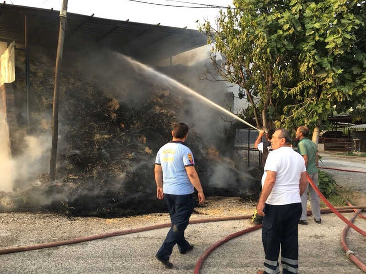 Milas\'ta Yangın