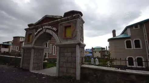 Sığırcıklar Doğalgaz Kutularını Mesken Tuttu - Son Dakika