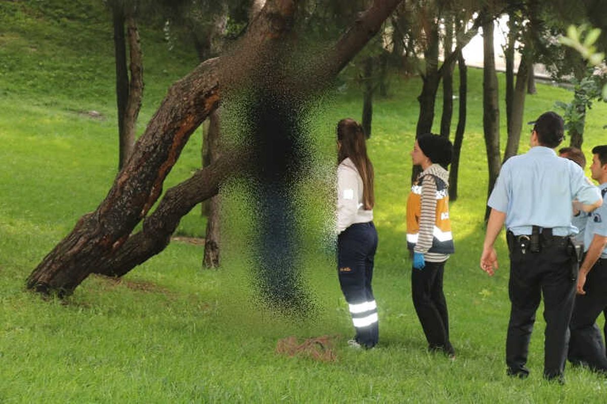 Şişli\'de Ağaca Asılı Ceset Bulundu