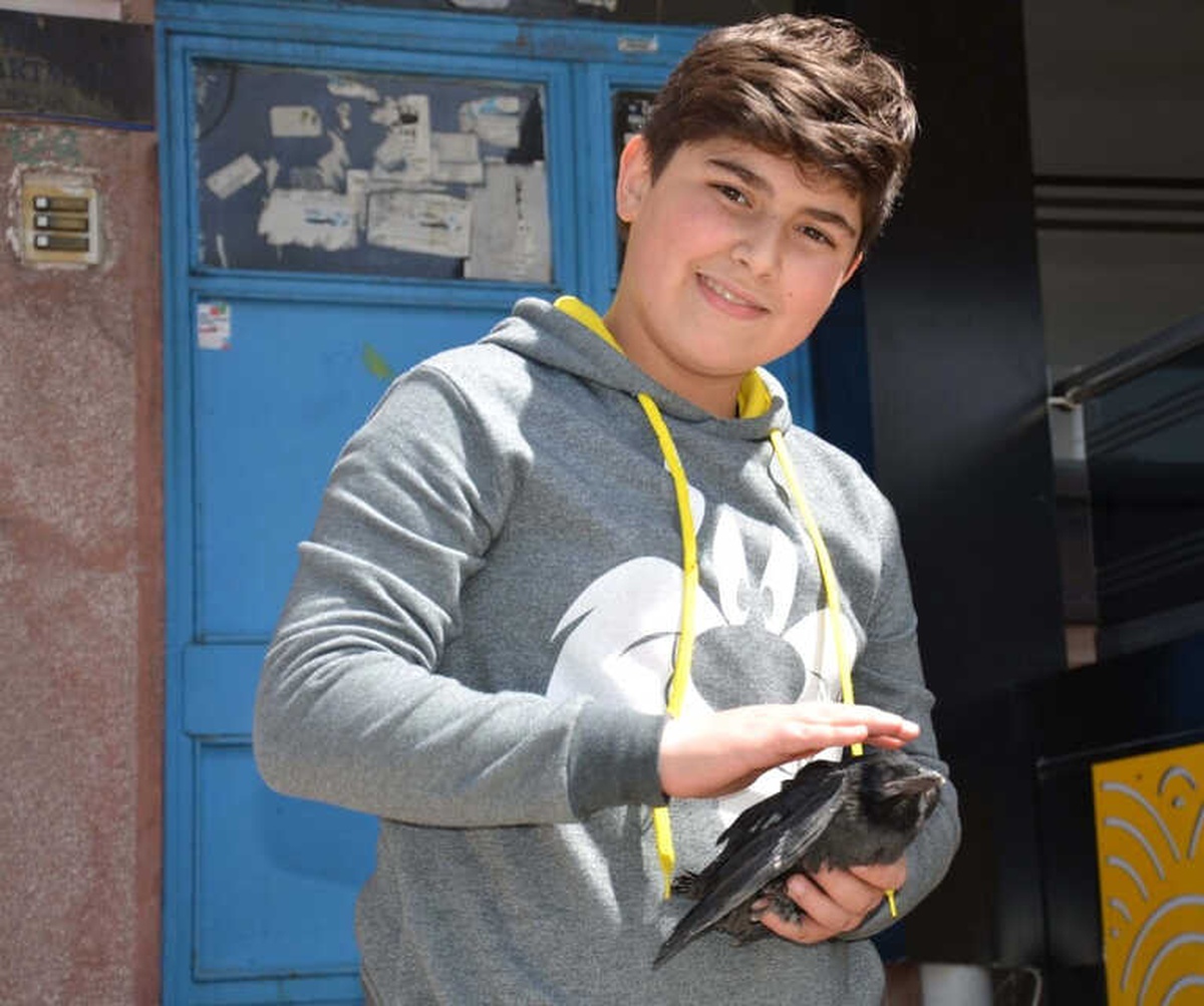 Yuvadan Düşen Yavru Karga İçin Seferberlik