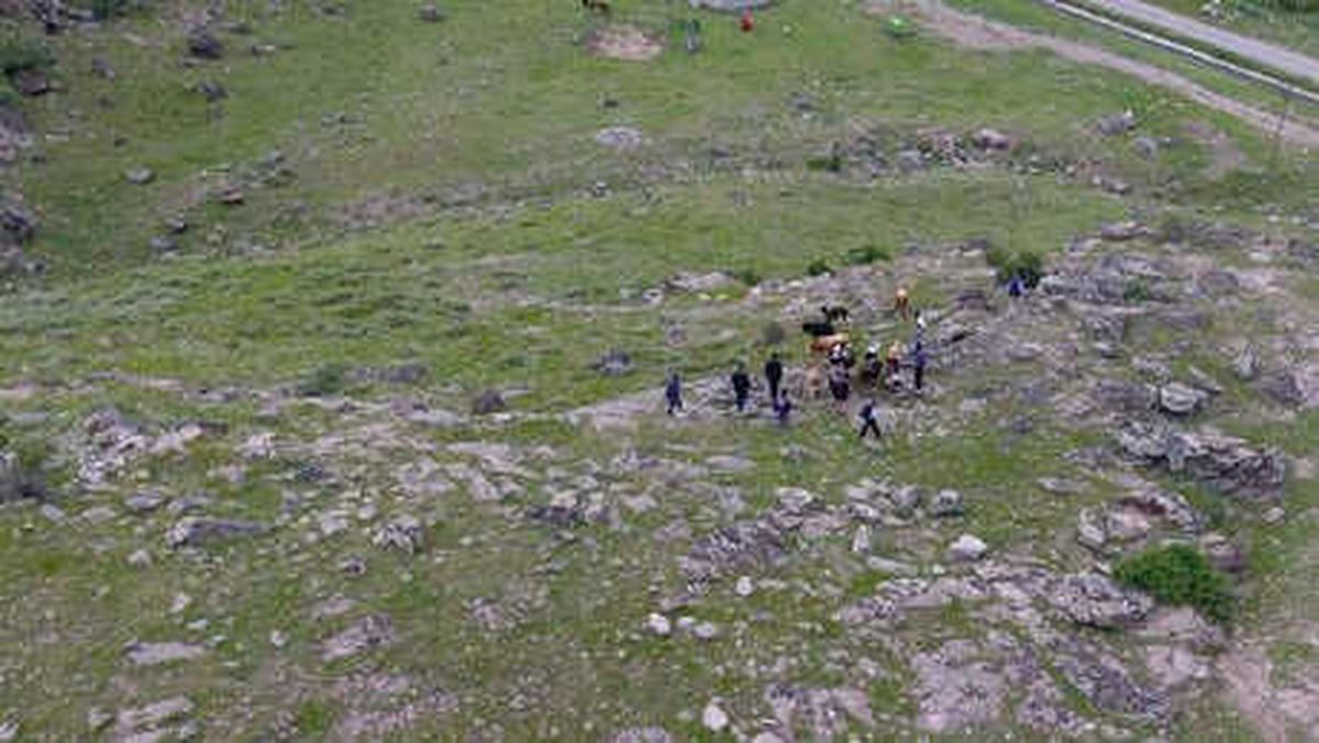 Kayıp Büyükbaş Hayvanlar, Drone Kullanılarak Bulundu