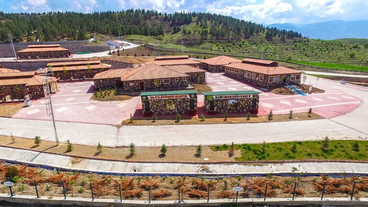 Malatya\'da 4 Ayda 194 Başıboş Hayvan Sahiplenildi