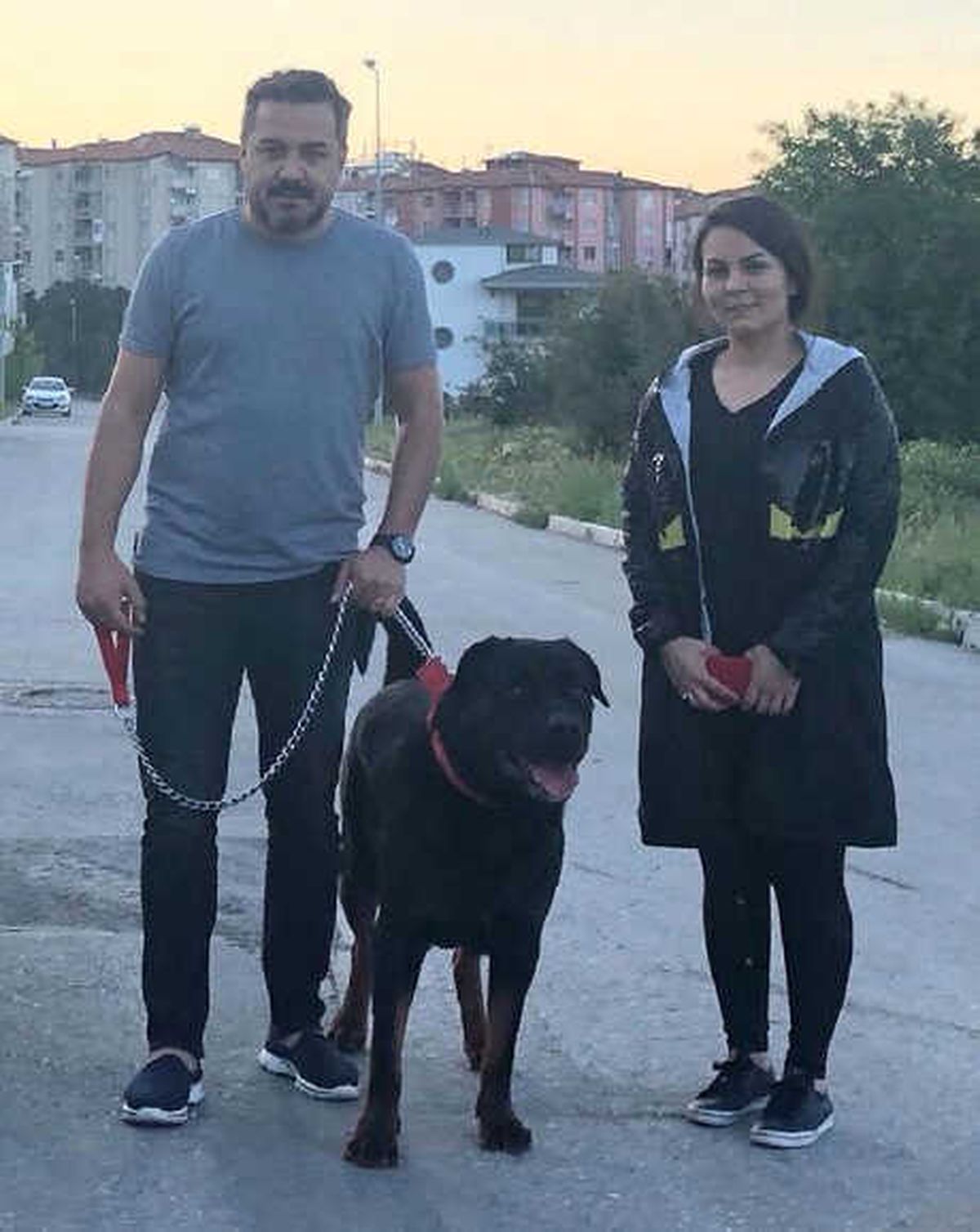 Rudi\'nin Bulunmasını Sağlayana Ödül Var