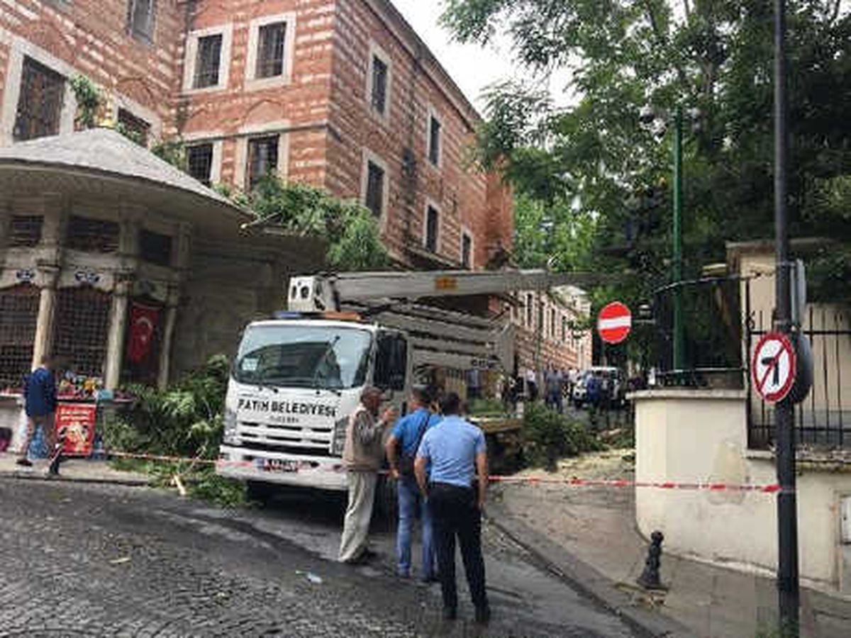 Valiliğin Bahçesindeki Ağaç Devrildi