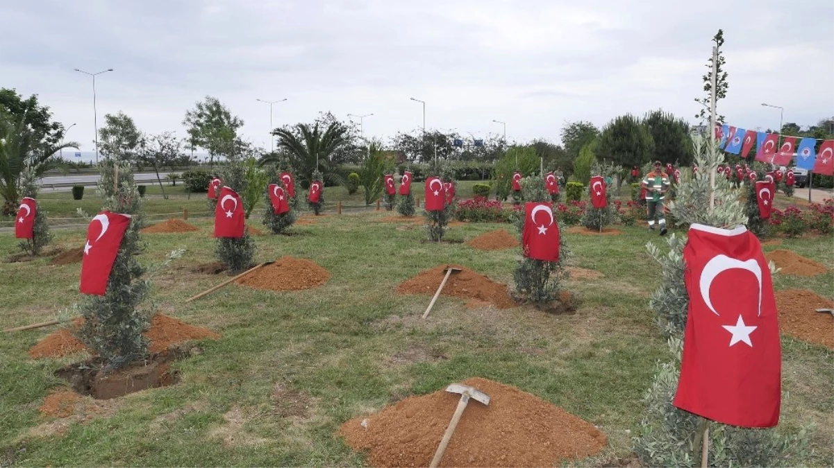 Afrin Şehitleri İçin Trabzon\'da Hatıra Ormanı Oluşturuldu