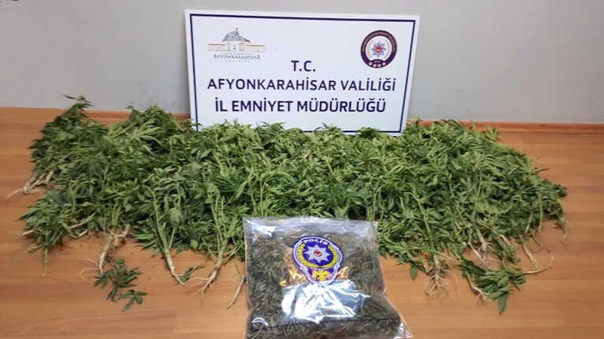 Emniyetin Baskınıyla Bir Evden 194 Kök Hint Keneviri