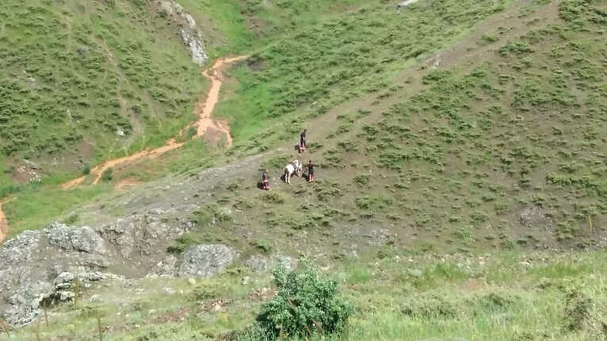 Mahsur Kalan İneği İtfaiye Ekipleri Kurtardı