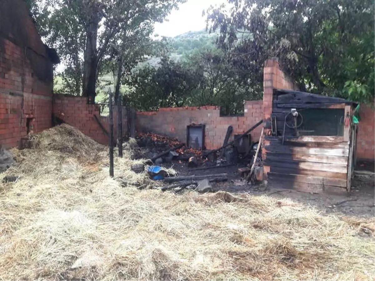 Tavşanlı\'da 30 Kaz Yıldırım Düşmesi Sonucu Telef Oldu