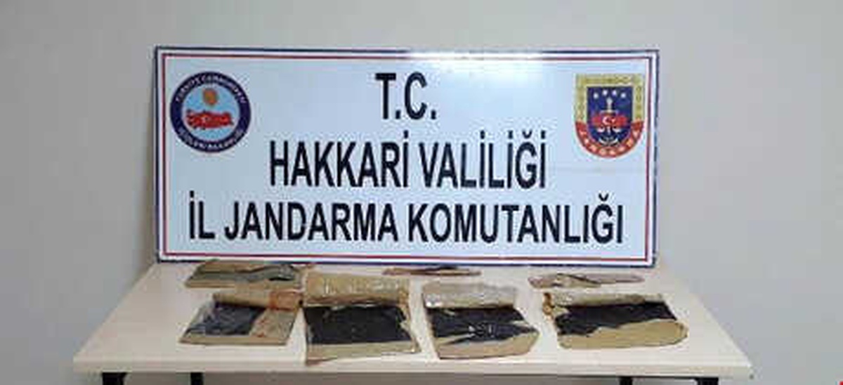 Kargoyla Kanada\'ya Uyuşturucu Göndermek İsterken Yakalandı