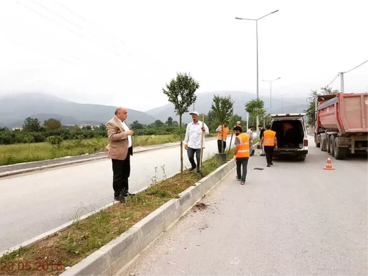 Beyköy\'de Refüjler Çiçeklendiriliyor