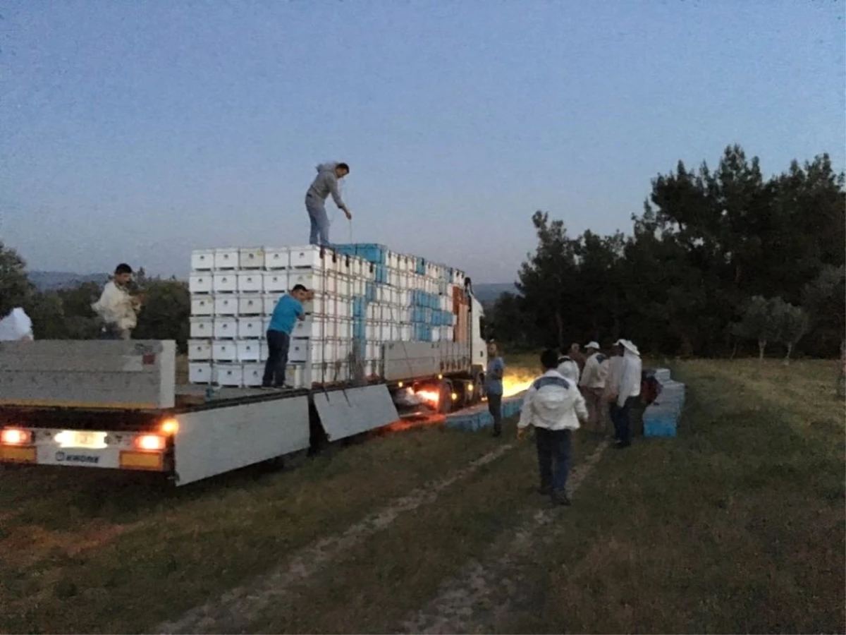 Gezginci Arıcılar Yollara Düşüyor