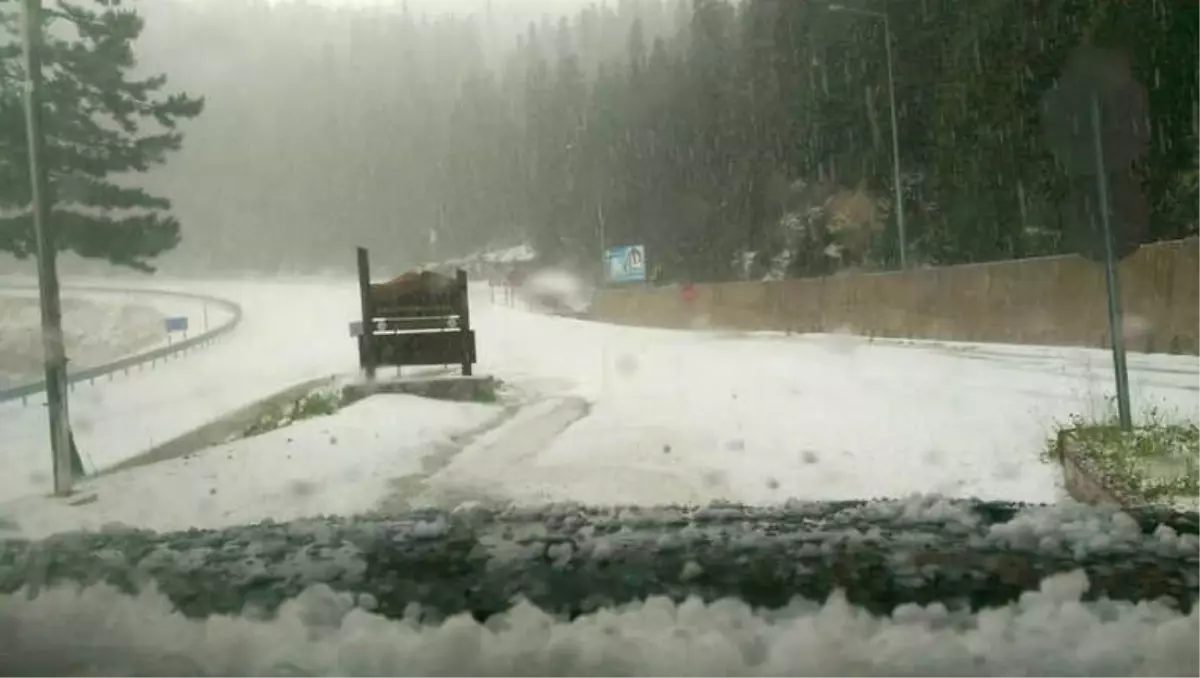 Ilgaz Dağı Milli Parkına Dolu Yağdı