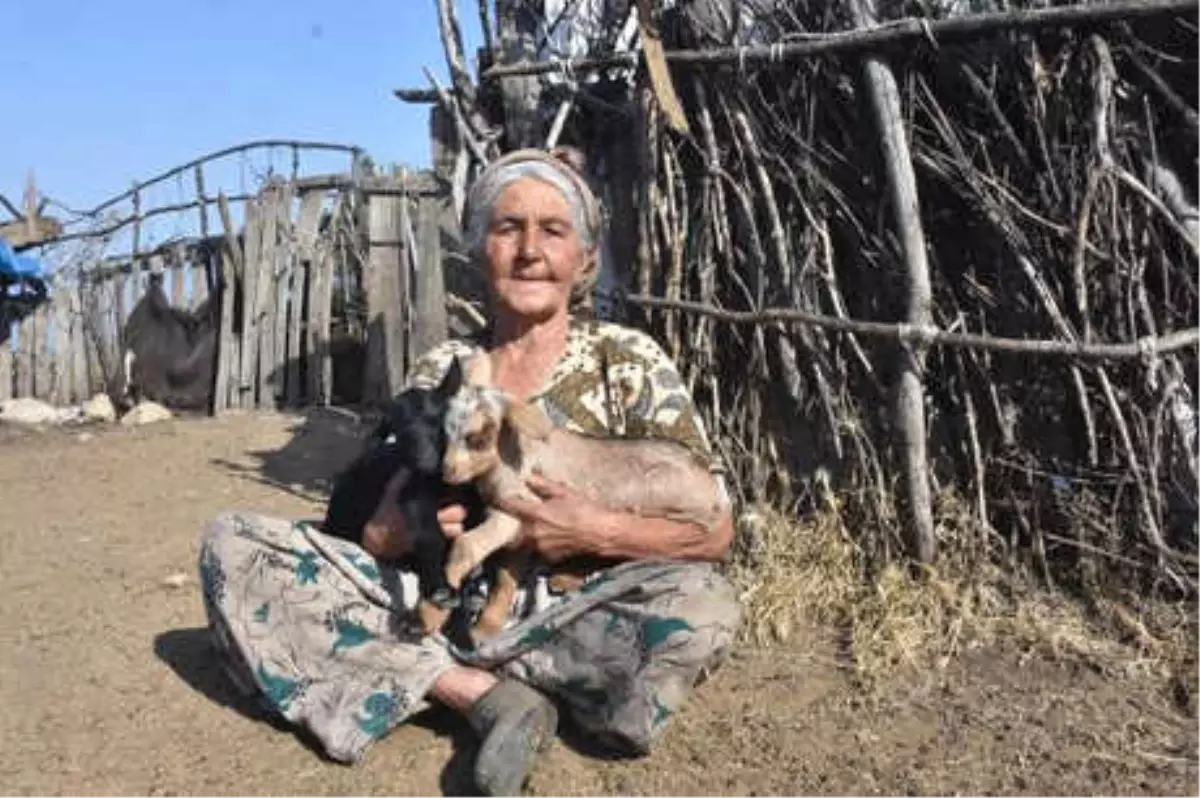 Kıl Çadırda Teknolojiden Uzak, Doğaya Yakın Yaşıyorlar