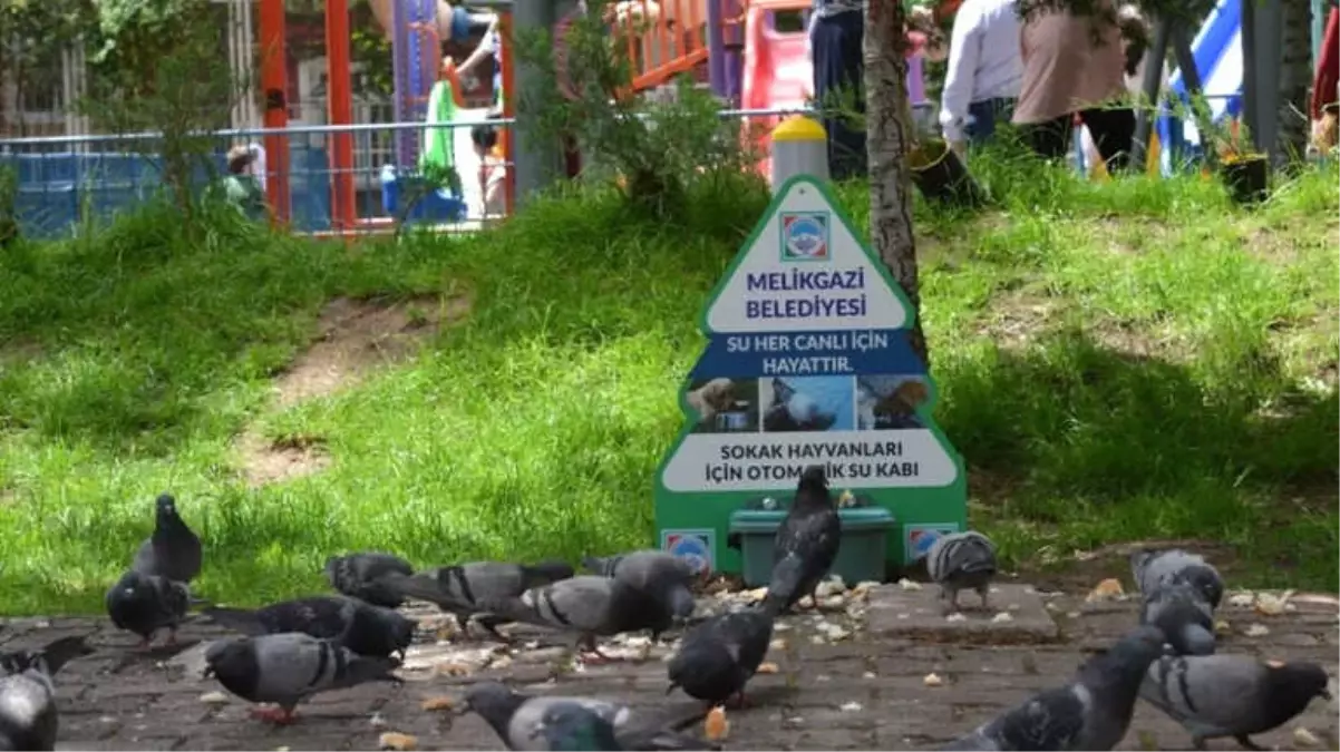 Melikgazi Belediyesi Sokak Hayvanlarını Unutmadı