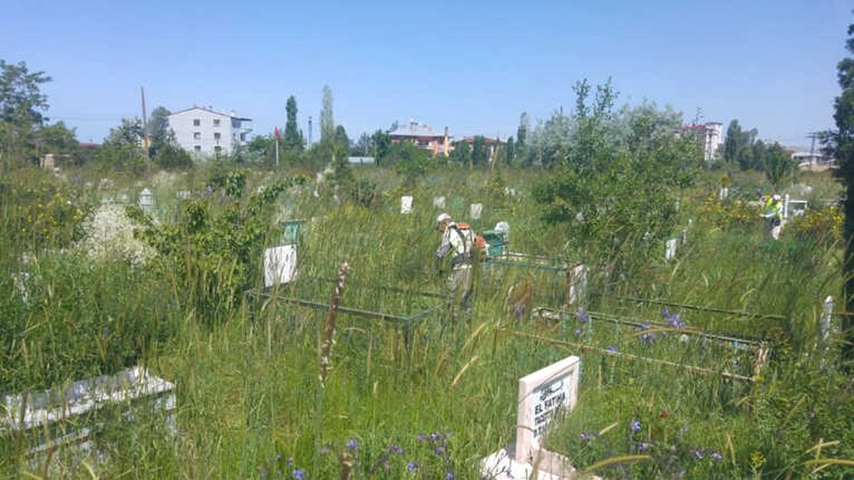 Van\'daki Mezarlıklar Yabani Otlardan Arındırılıyor
