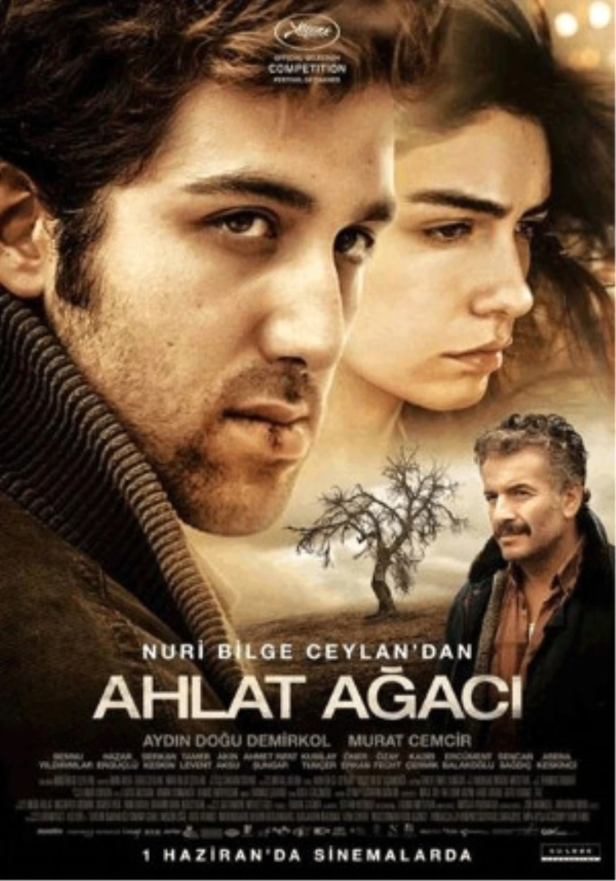 Ahlat Ağacı Filmi