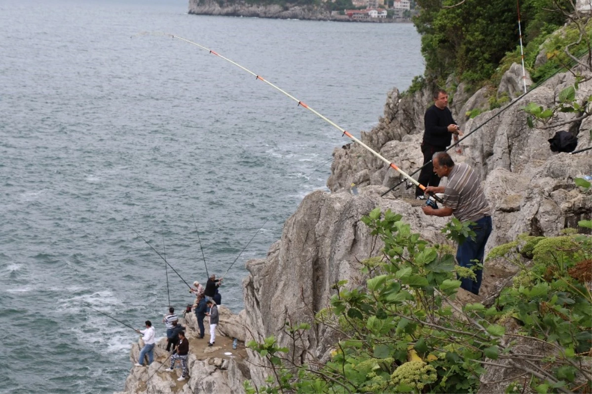 Amatör Balıkçılar Kayalıklarda Balık Avladı