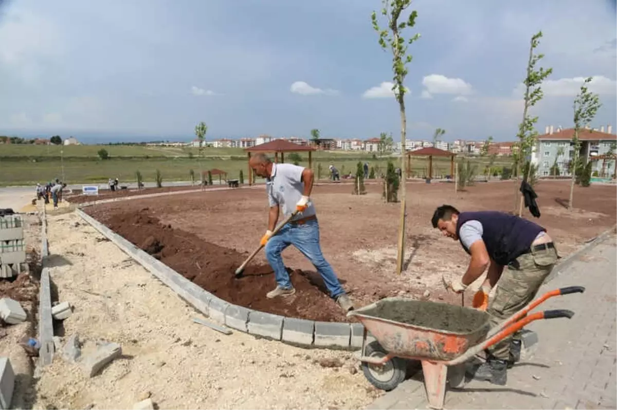 Bu Park Elektriğini Kendi Üretecek