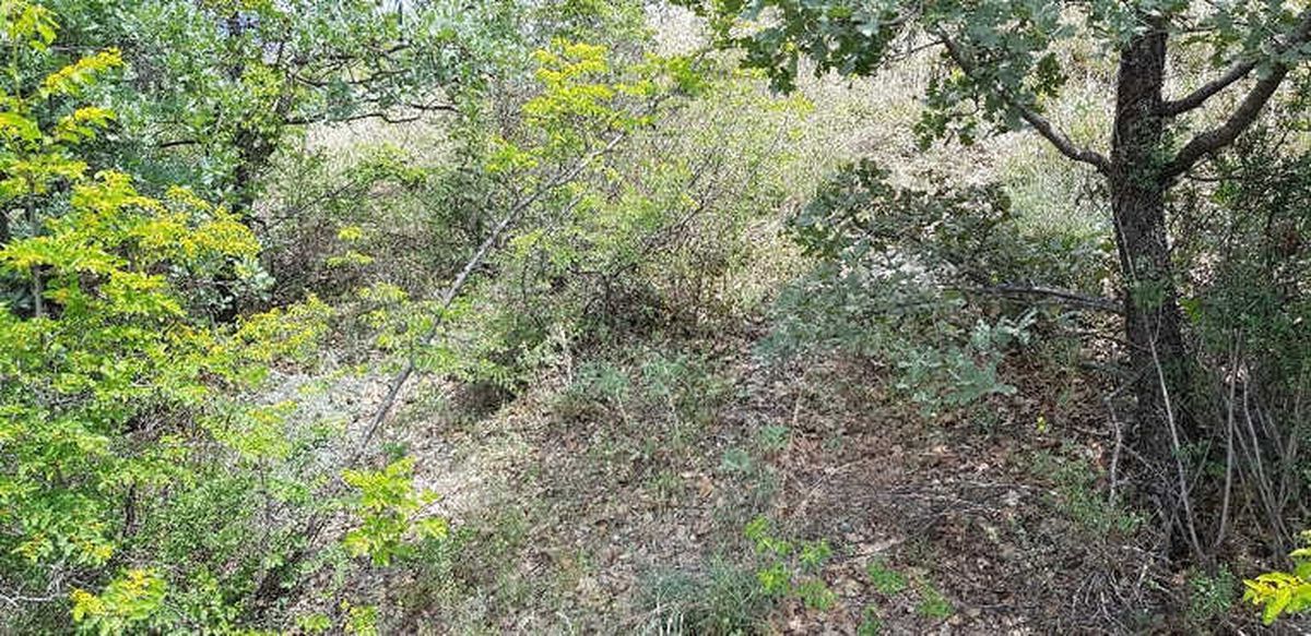 Kastamonu\'da 8 Kaçak Define Avcısı Suçüstü Yakalandı