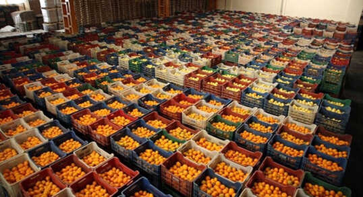 Meyve ve Sebze Alışverişine \'Cep\'ten Denetim