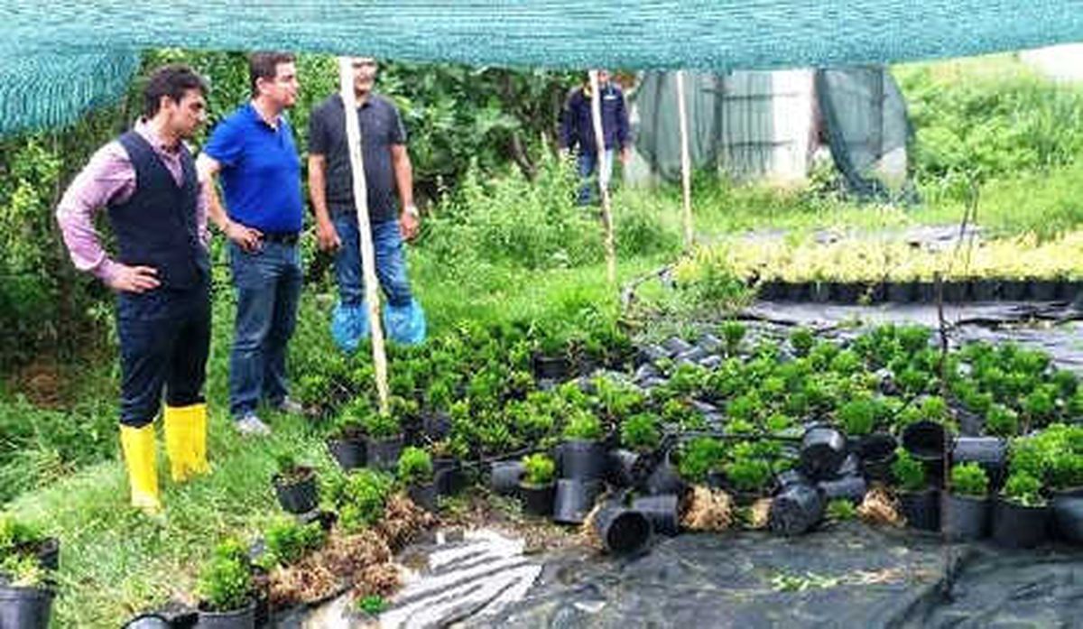 Yalova\'da, Sağanak Mağduru Üreticilere Ziyaret