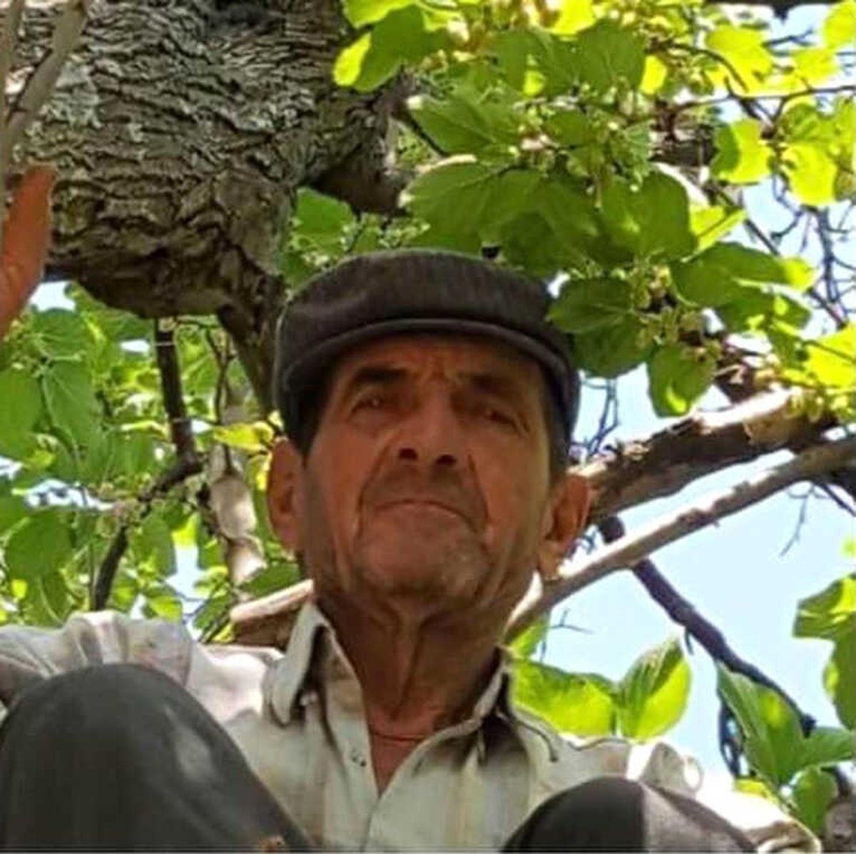 Antalya\'da Kamyonla Çarpışan Traktör İkiye Bölündü: 1 Ölü
