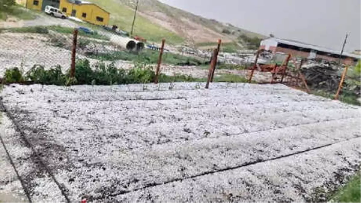 Balâ\'da Sel ve Dolu Tarım Alanlarını Vurdu