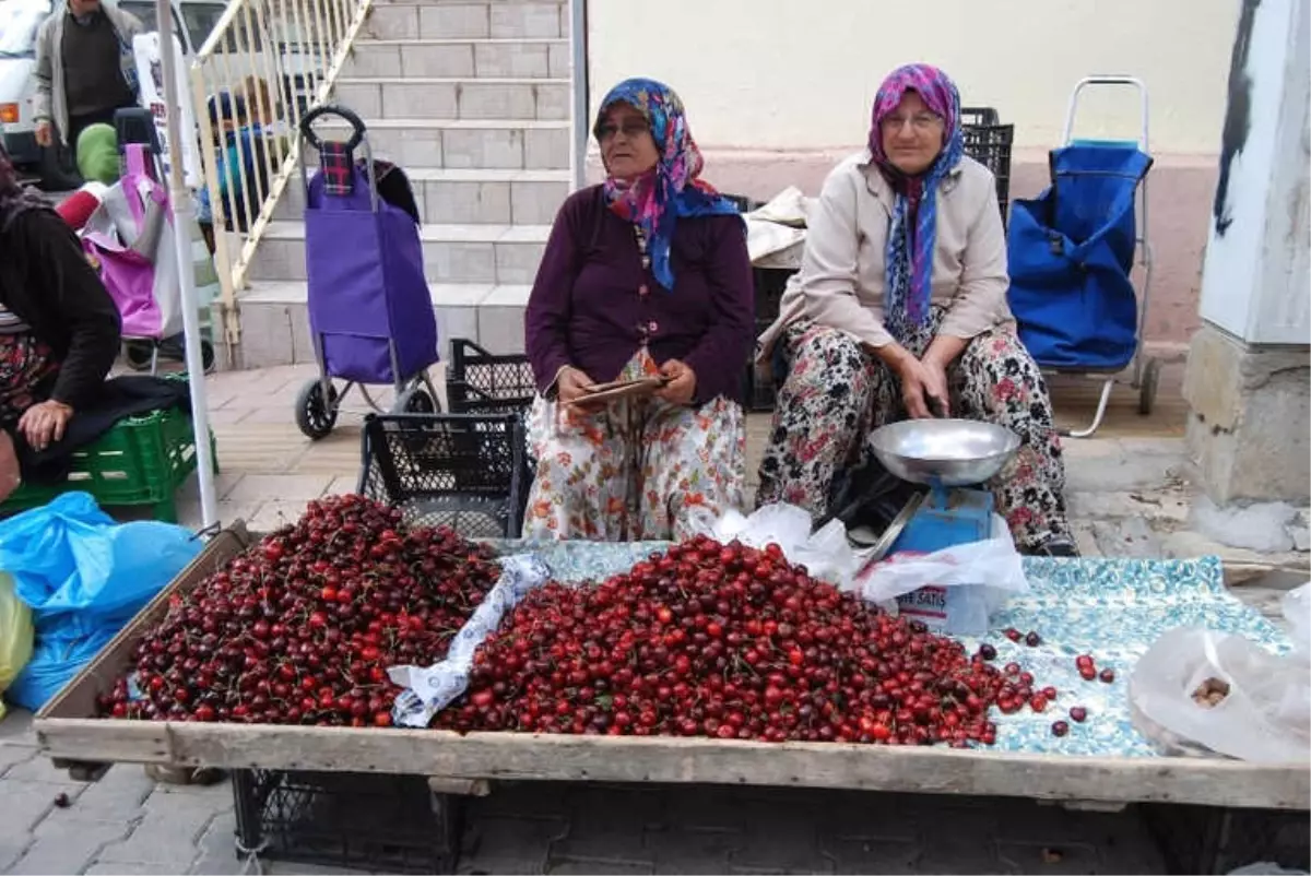 Çanakkale\'de Kiraz Üreticisi Endişeli