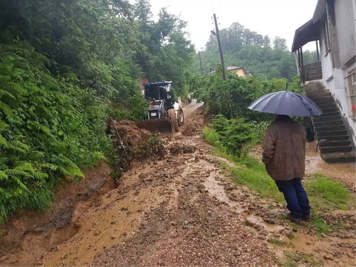 Ordu\'da Selin Yaraları Sarılıyor