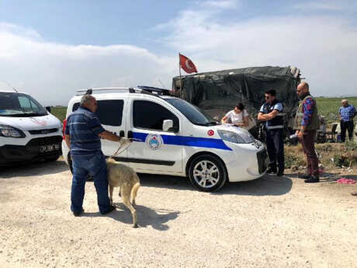 Sahibinin Aç ve Susuz Bıraktığı Köpeklere El Konuldu