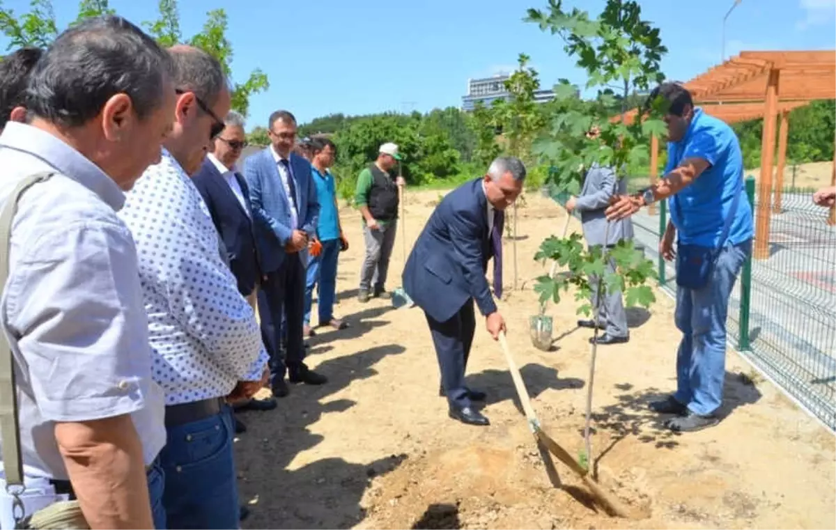 Geleneksel Okçuluk Alanı Çevresine Fidan Dikimi Gerçekleşti