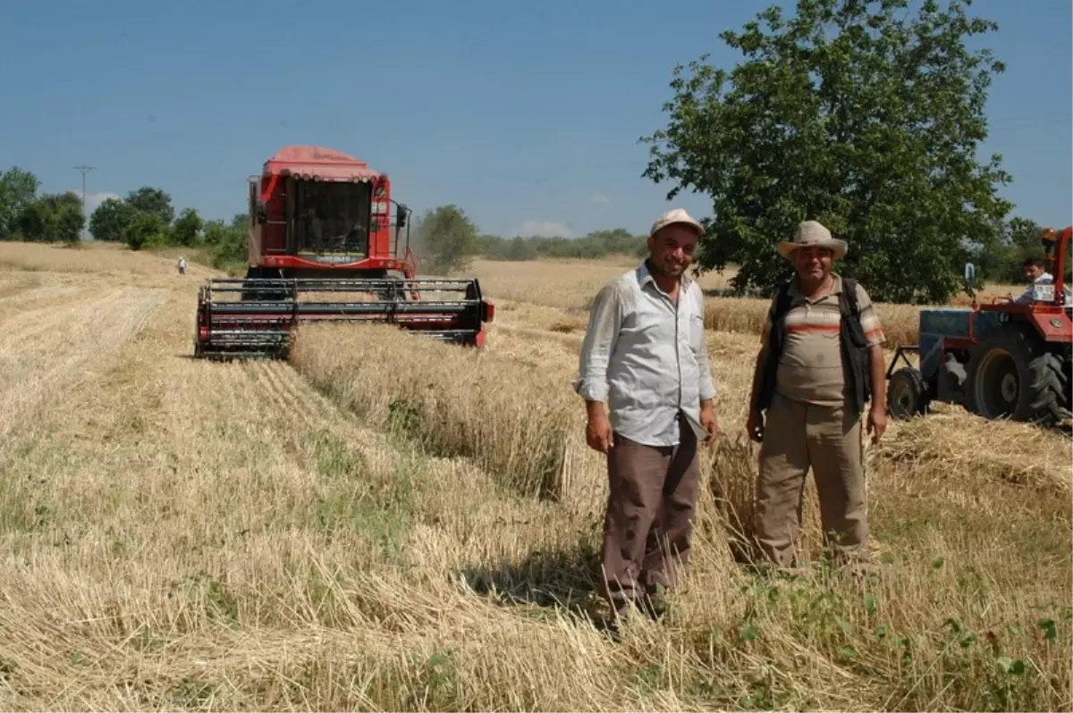 Hububat Alım Fiyatları Açıklandı