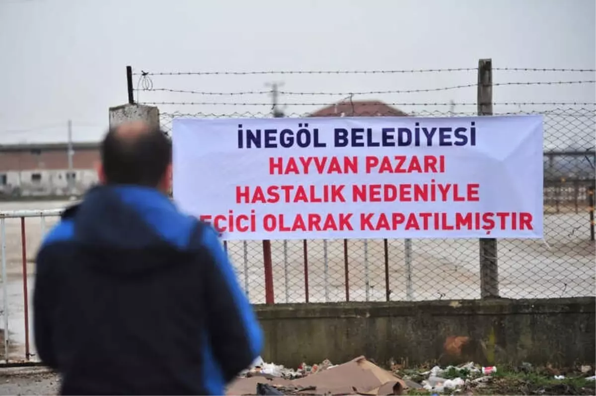 İnegöl Hayvan Pazarı Şap Nedeniyle Kapatıldı