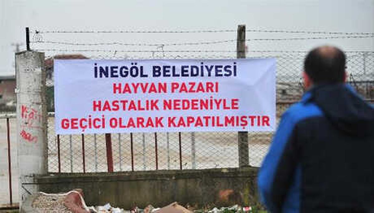 İnegöl Hayvan Pazarı, \'Şap Salgını\' Nedeniyle Kapatıldı