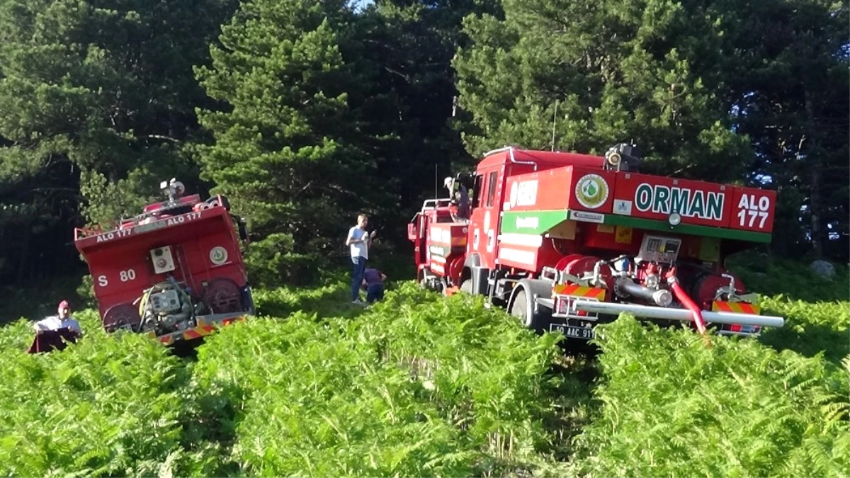 Kazdağları\'nda Çıkan Orman Yangını Büyümeden Söndürüldü