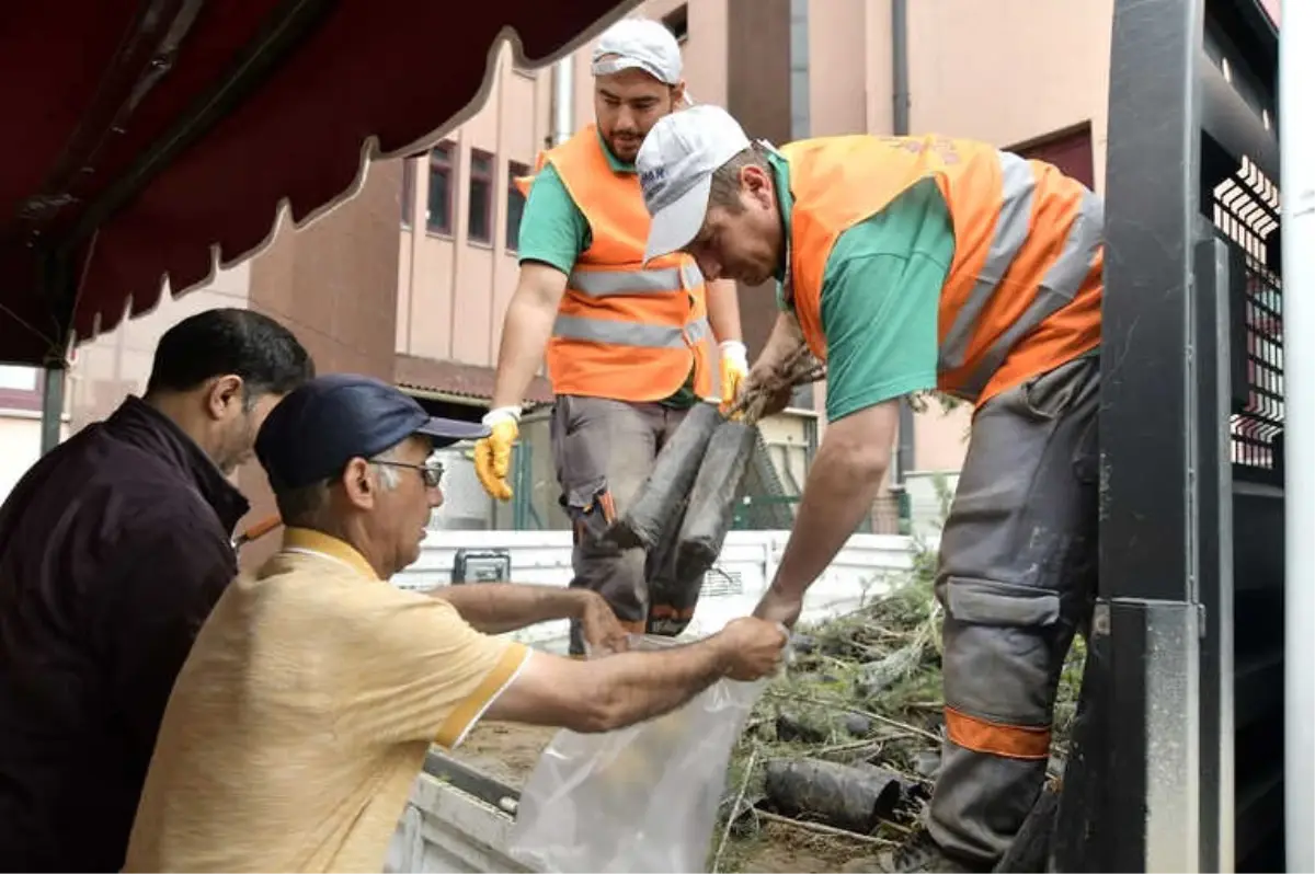 Mamak Belediyesinden Ücretsiz Fidan