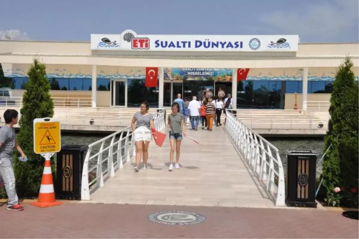 Sualtı Dünyası\'na Ziyaretçi Akını